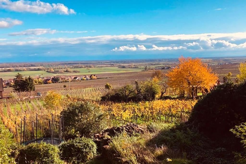 Gite Origin Gueberschwihr Buitenkant foto