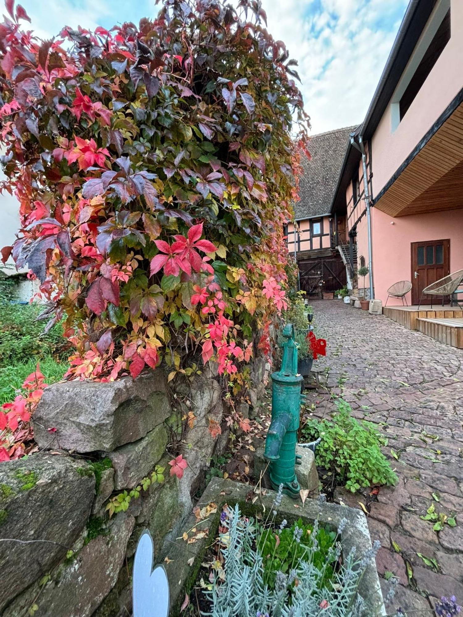Gite Origin Gueberschwihr Buitenkant foto